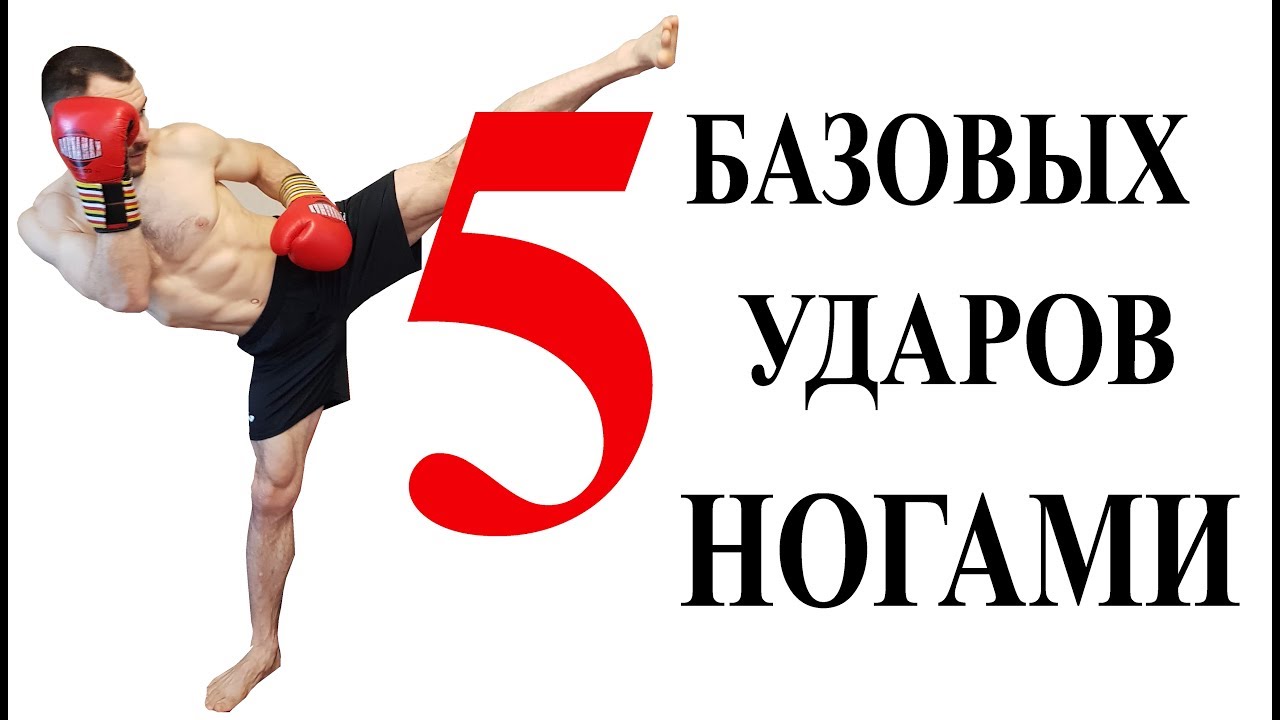 Удары ногами, базовые, основные.