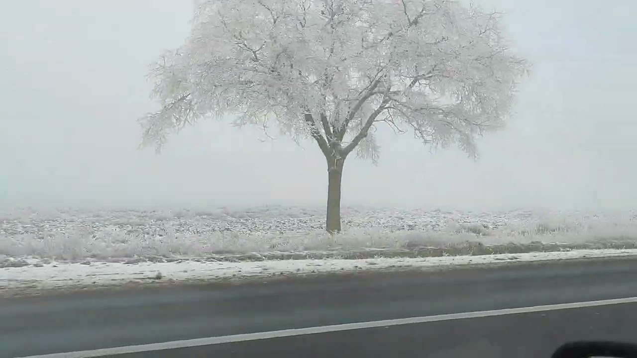 Зимова казка