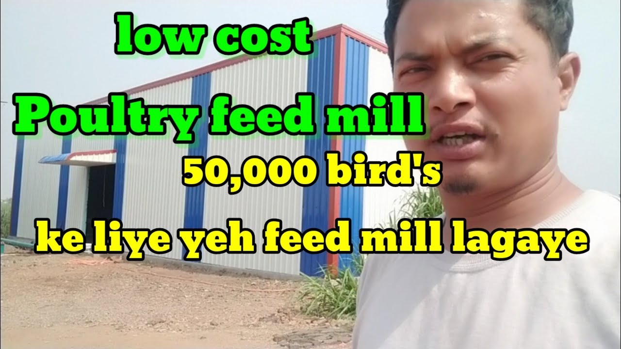 poultry feed mill, low cost Poultry feed mill, how to make Poultry feed machine