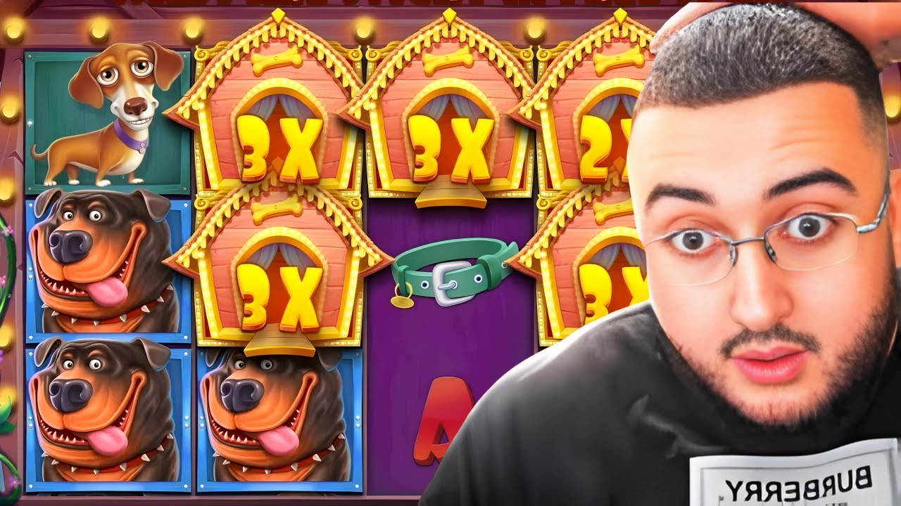 TAOUR PREND 20 000€ EN 1 SPIN ! IL EST CHOQUÉ - BIG WIN | BEST OF FR EKANOS TEUF CASINO DLIVE KICK