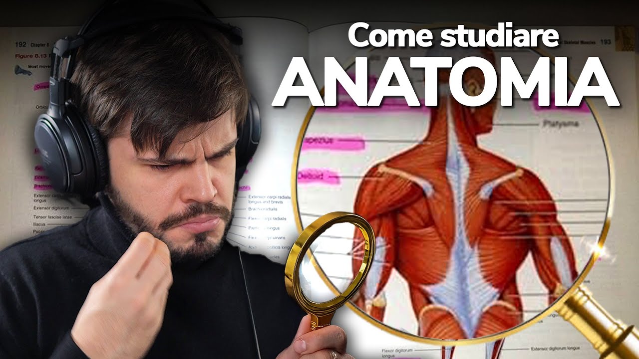 Come STUDIARE per l'esame di ANATOMIA 🩻 (metodo di studio e @Braynr)