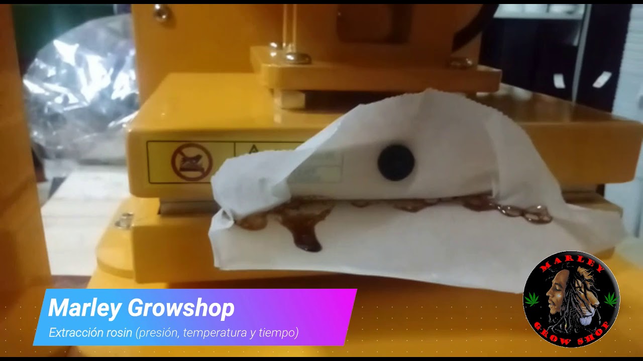 Marley Growshop - Extracci&oacute;n rosin