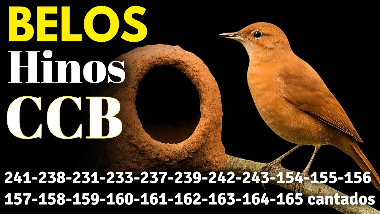 HINOS CCB 241-238-231-233-237-239-242-243-154-155-156-157-158-159-160-161-162-163-164 cantados