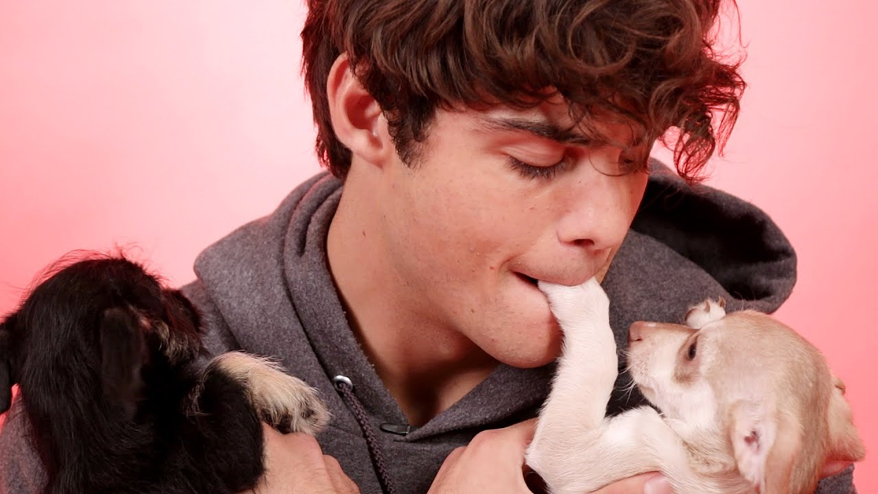 Noah Centineo brinca com filhotes enquanto responde a perguntas de fãs