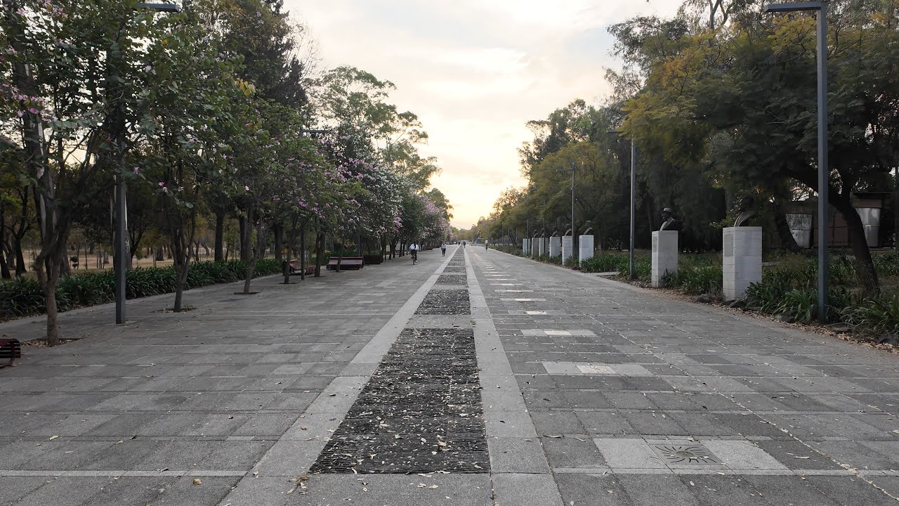 Golden Hour Walk in Mexico City 🌅 | Chapultepec Park (20 Minutes)