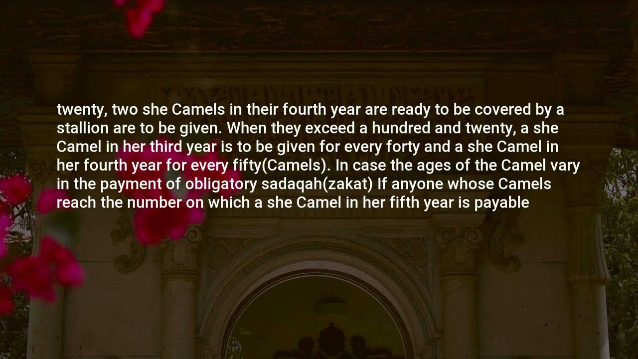 Abu Dawud, Hadith: 1567, The Book of Lost and Found Items