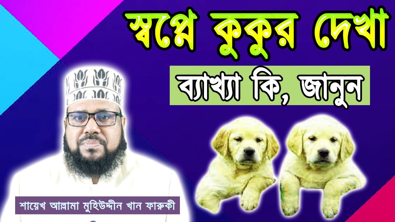 স্বপ্নে কুকুর দেখা, ব্যাখ্যা কি, জানুন | Seeing a dog in a dream, what is the explanation, know!!