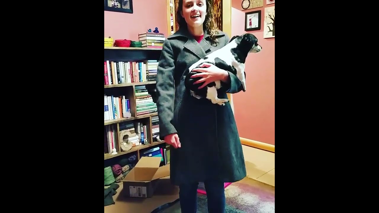 Appalachian Language - Law = interjection used to express surprise, dismay, consternation