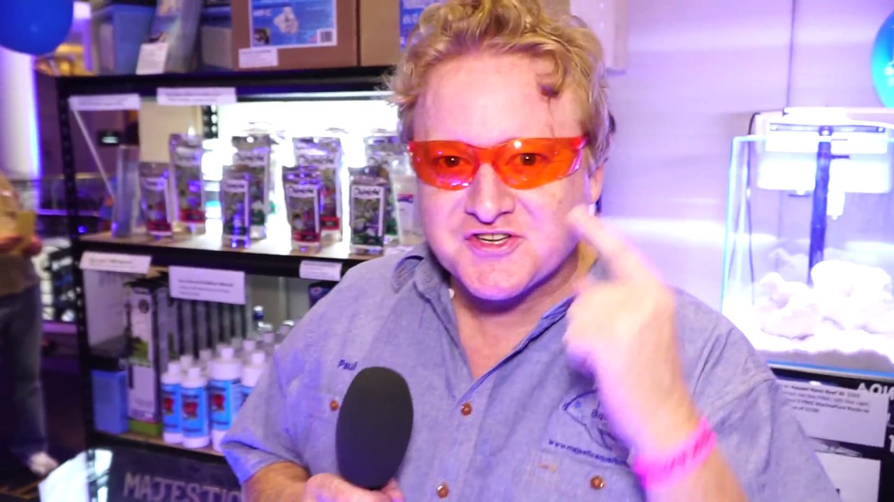NEW Vivid Coral Glasses?