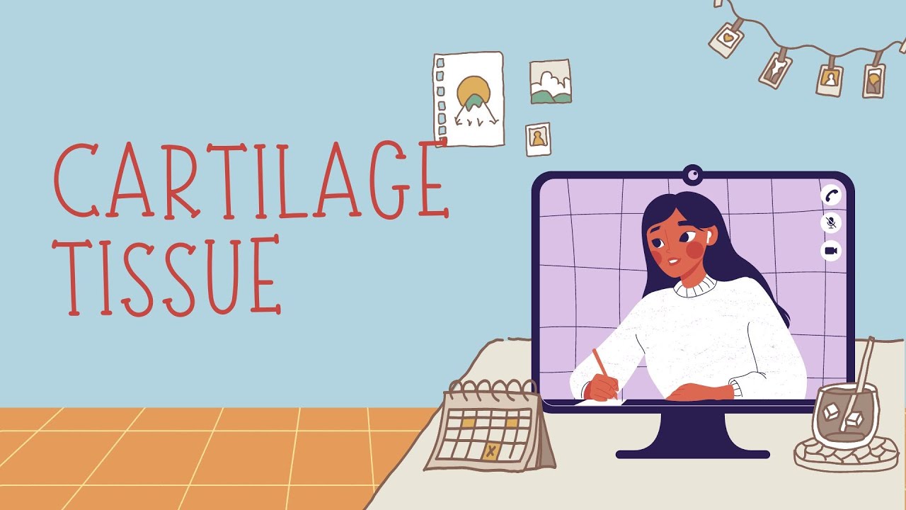 STPM BIOLOGY SEM 1 CHAPTER 2 | CARTILAGE TISSUES | CHONDROBLAST | HYALINE | FIBROCARTILAGE | ELASTIC