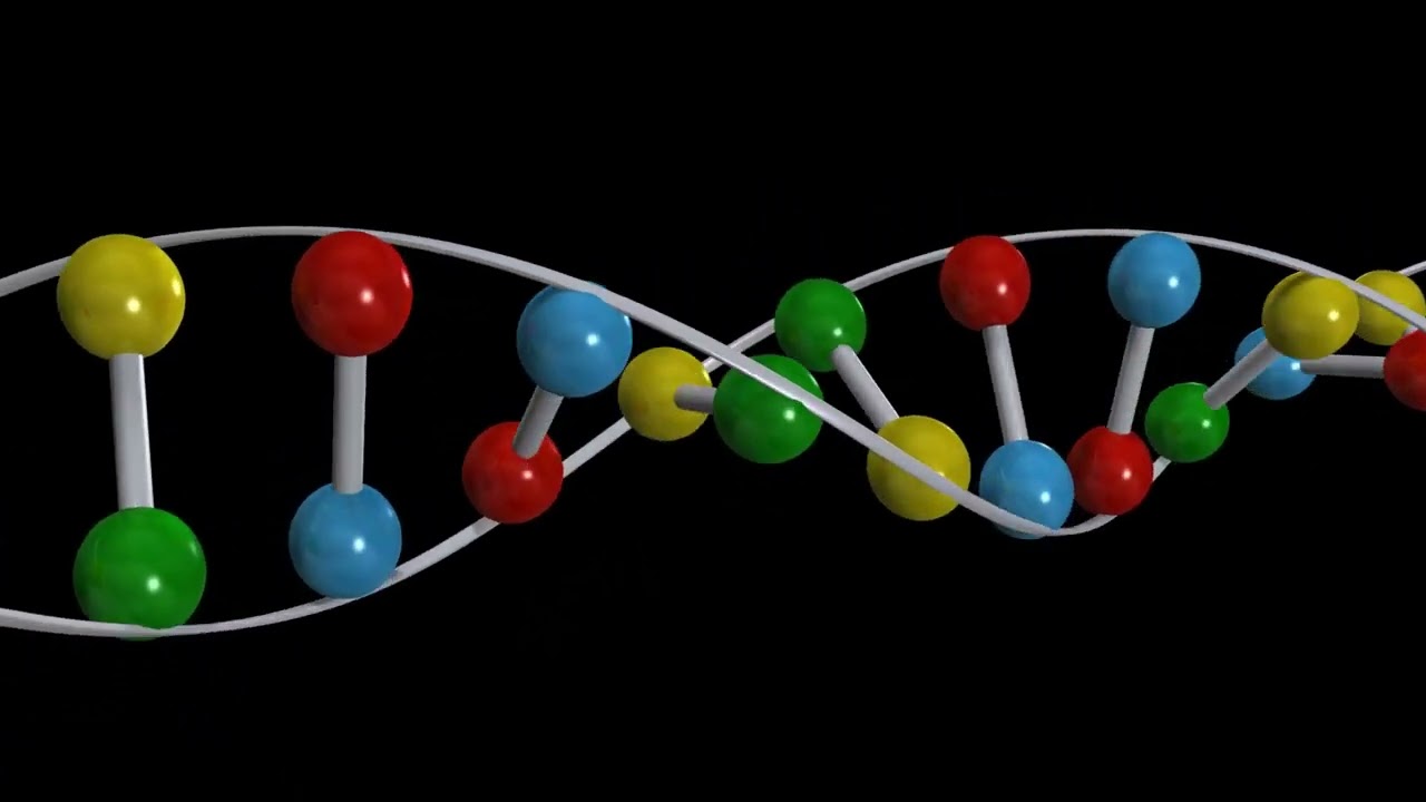 Qu'Est Ce Que L'ADN ?!