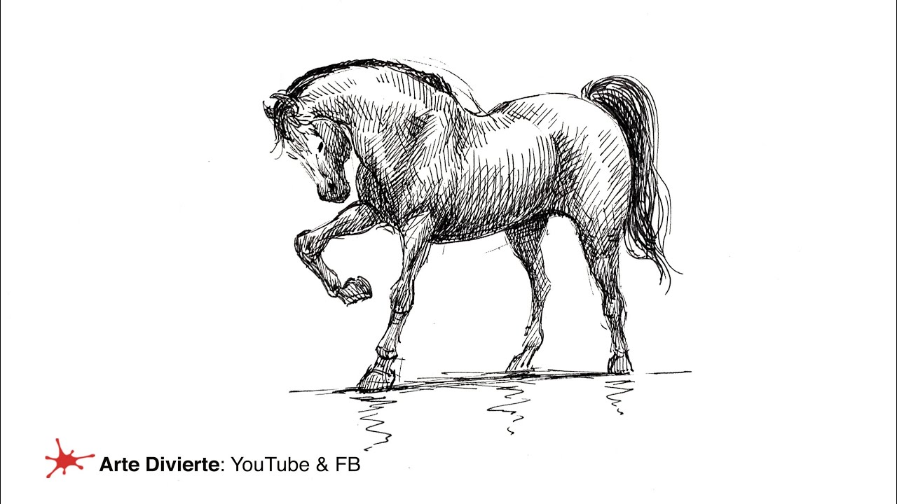 CÓMO DIBUJAR UN CABALLO - Boceto con pluma estilográfica