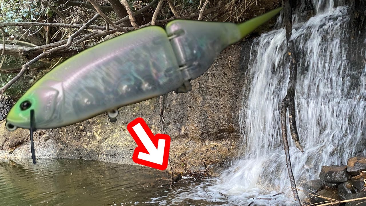 【tinyklash】タイニークラッシュを滝壺に投げて優勝する動画になります。