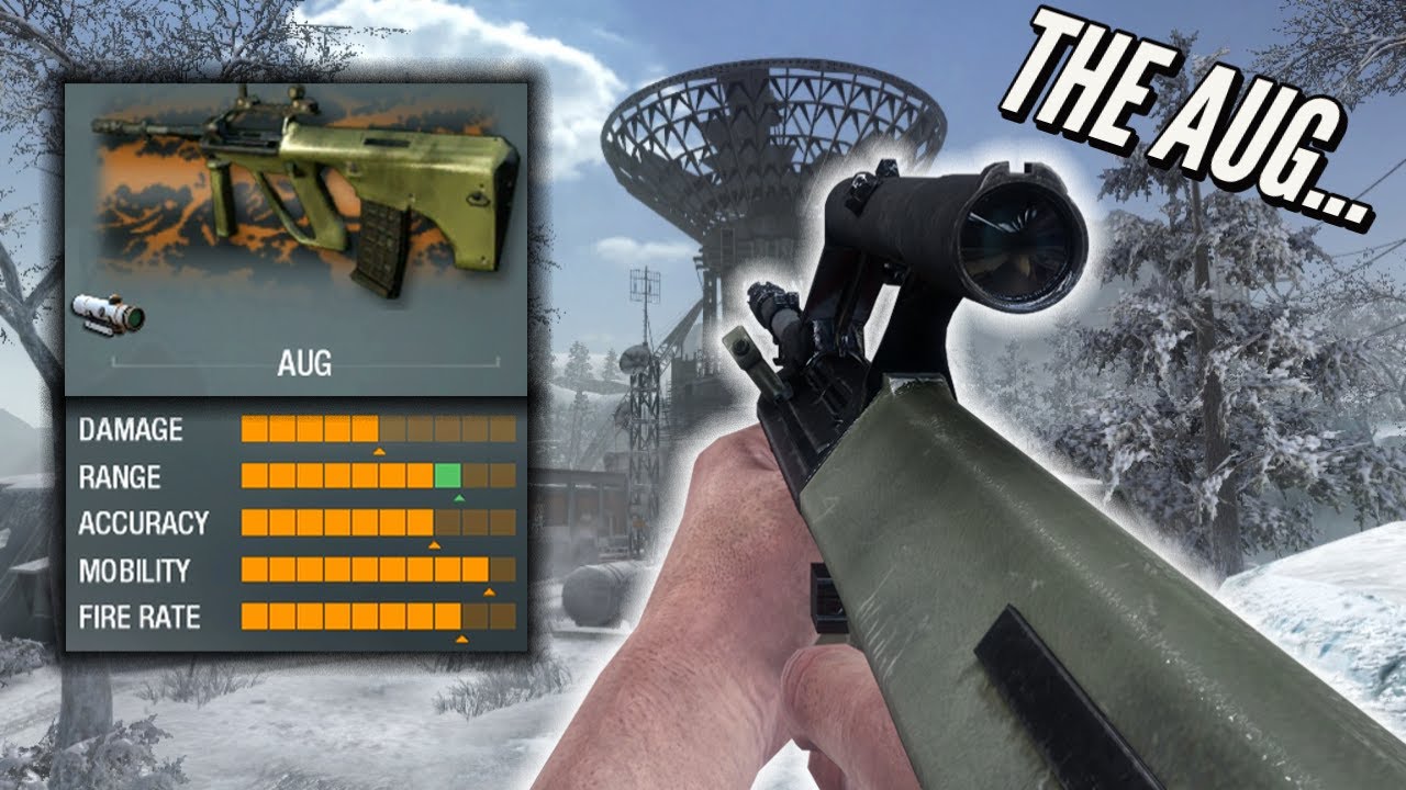 AUG из Black Ops 1...