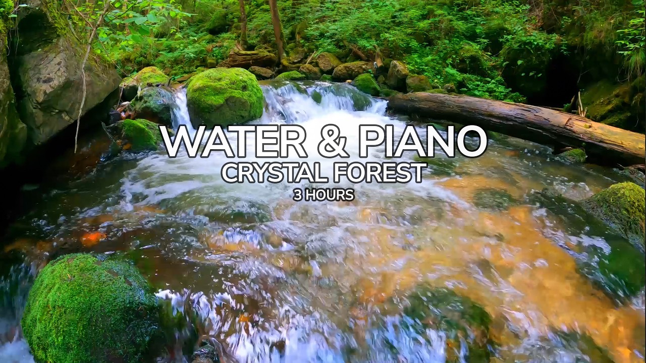 Crystal Waters 🌿 Relaxing Stream & Piano Nature Sounds (3 Hour) Calm Ambience for Study & Meditation