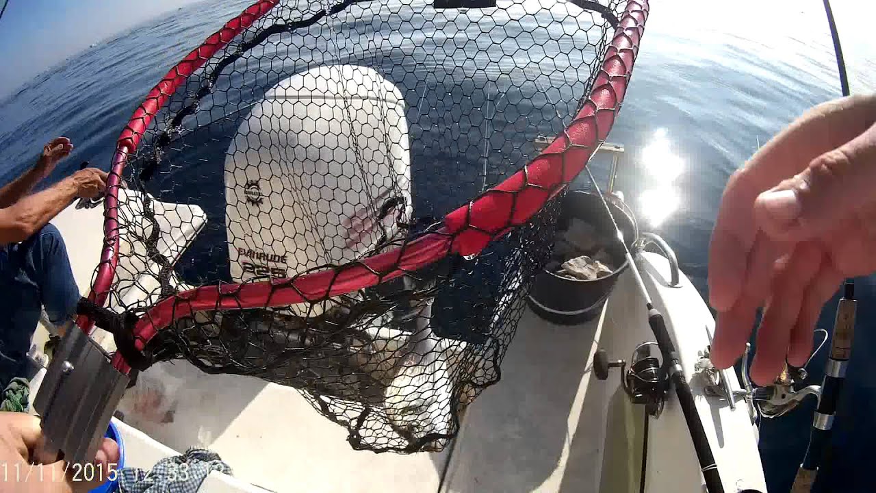 Peche a la pierre marseille carry