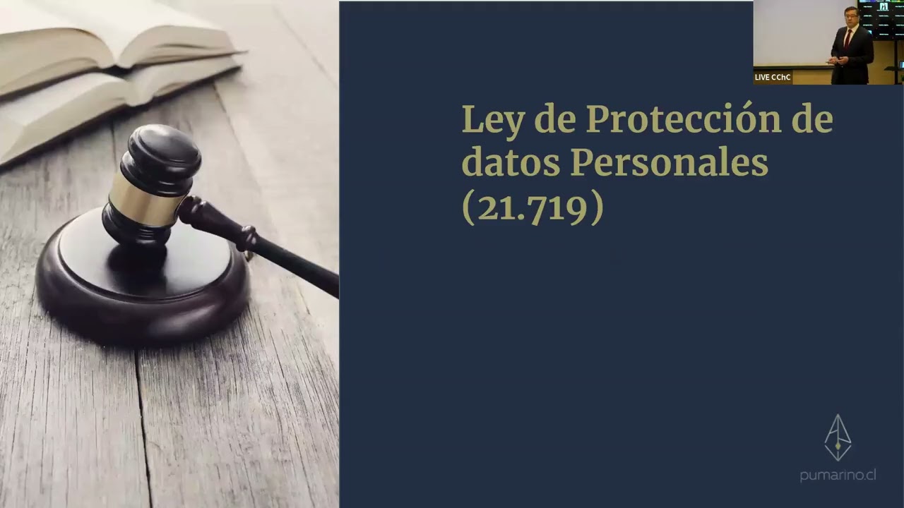 Taller de Regulación y Protección de Datos Personales: Andrés Pumarino