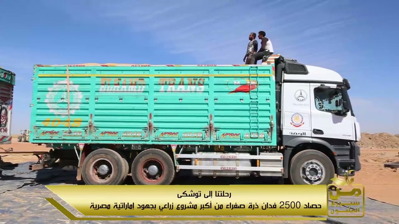 رحلتنا  لتوشكى.. حصاد الذرة الصفراء في أكبر مشروع زراعي على مساحة 50 ألف فدان بأياد مصرية إماراتية