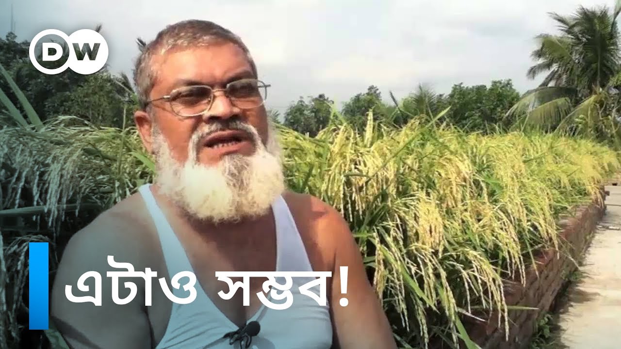 ছাদের উপর ধান চাষ | বাংলার মুখ