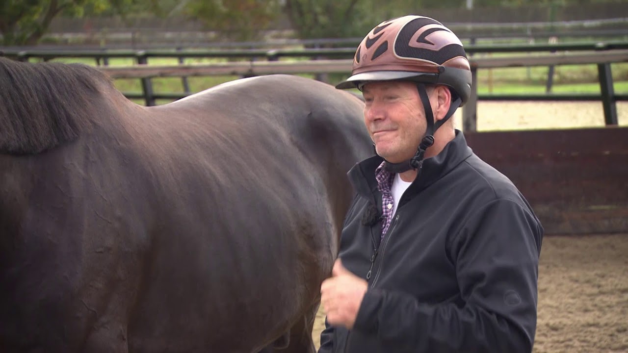 Manege Filip Dros
