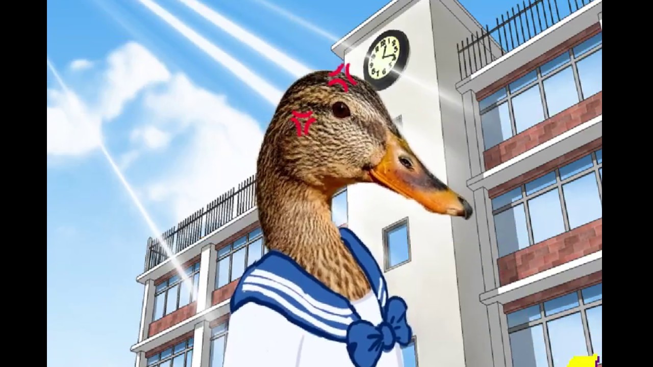Duck Jam - Charming WarioWare-esque Duck Minigame Adventure!