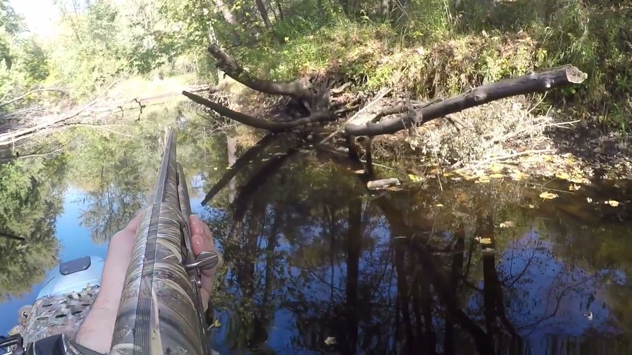 Tiny Creek Wood Duck Limit!