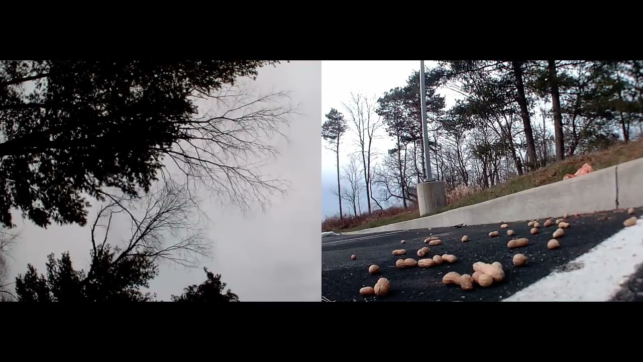 get cha’ peanuts part 1