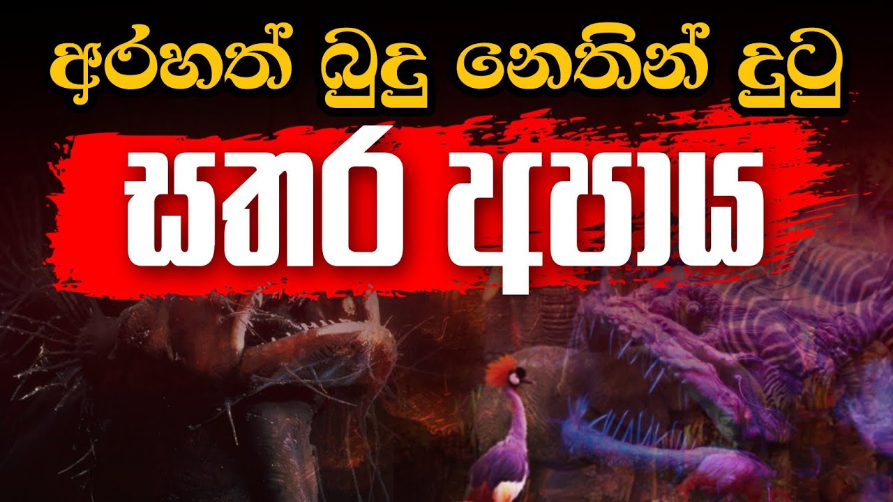 අරහත් බුදු නෙතින් දුටු සතර අපාය | Daham Atuvawa