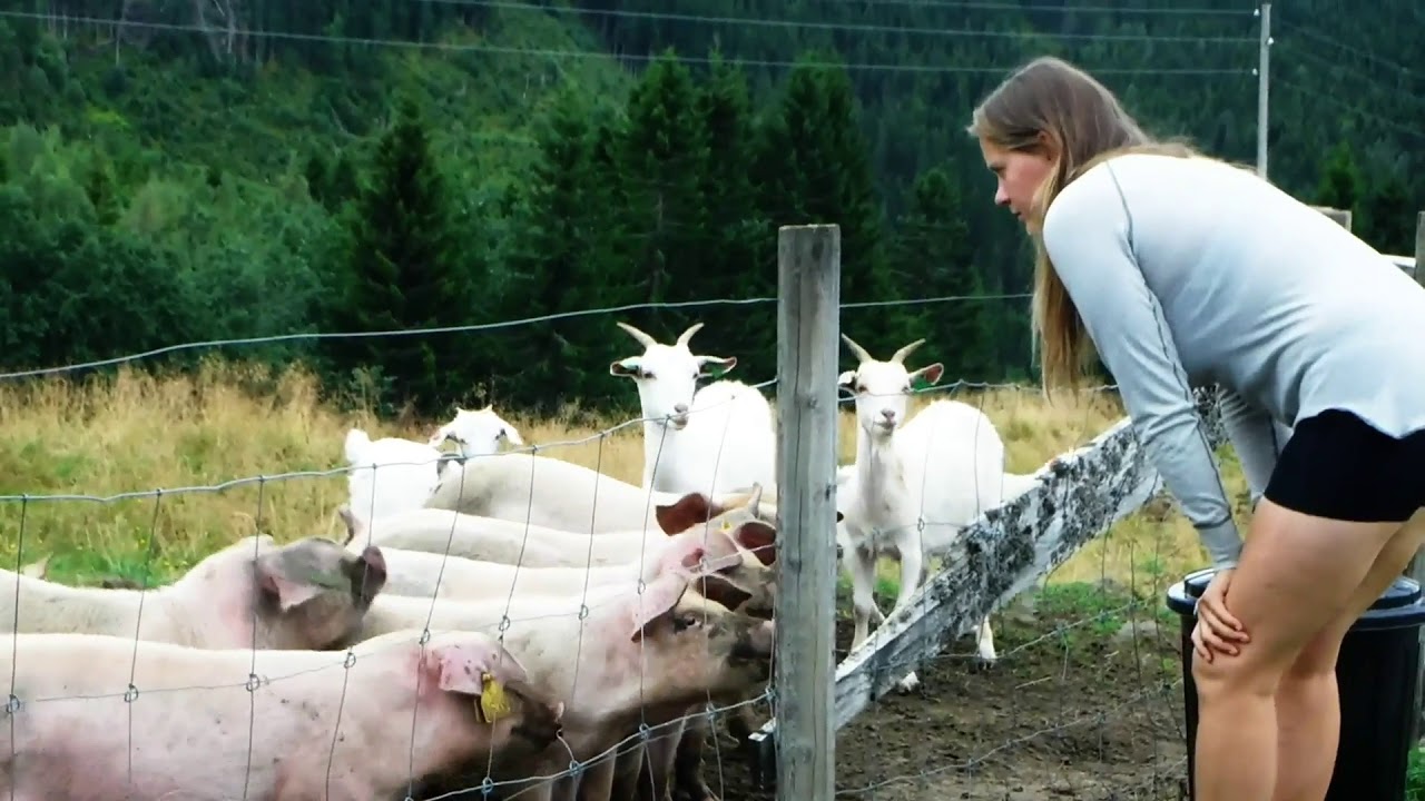 Whitewater Kayaking Norway 2017