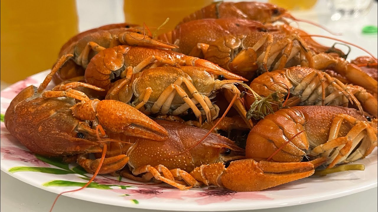 Рыбалка Ставропольский край . Хутор Шести пробуем ловить раков 🦞