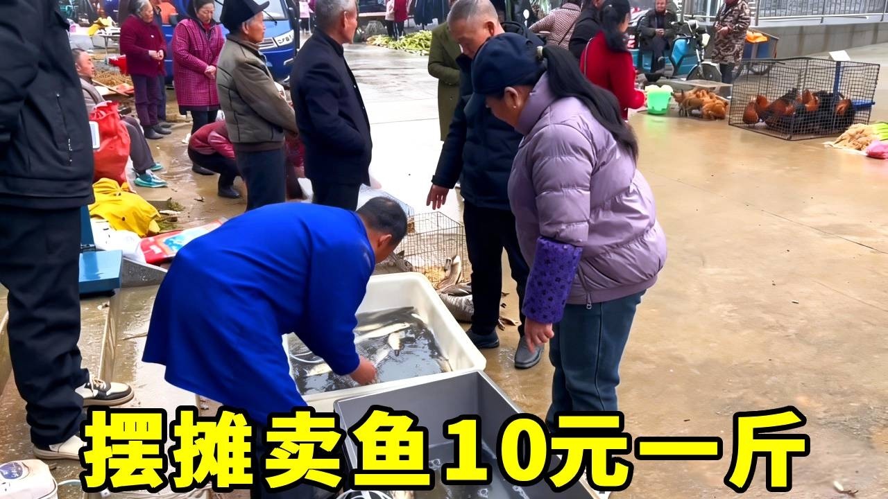 摆摊卖鱼10元一斤，大家都抢着买3个小时赚了2500多，开心 #便宜好吃的零食 #农村赶集 #卖鱼人 #我的乡村生活