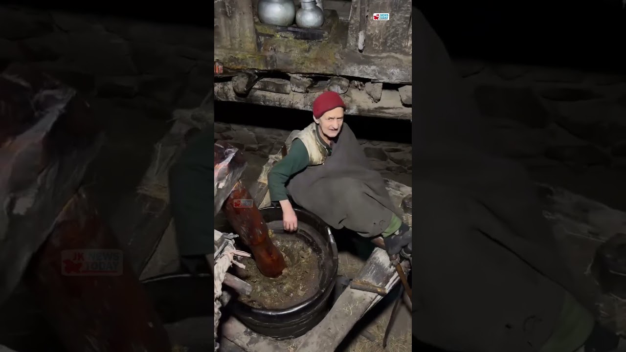 Mum Wani keeps tradition alive with Pampore’s last ox-driven oil mill | JK News Today