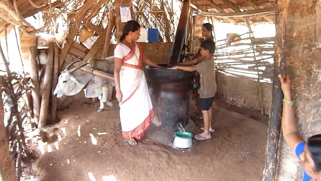 Ox driven Oil Mill