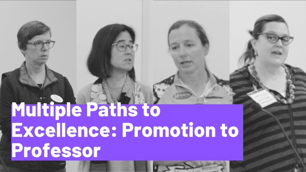 Multiple Paths to Excellence: Promotion to Professor