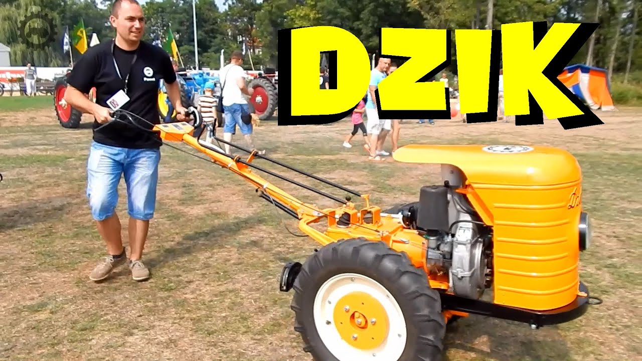 DZIK jest dziki, DZIK jest ... Co sądzicie o Dzikach?