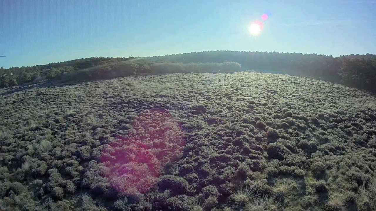 Sunny FPV DalRC 265