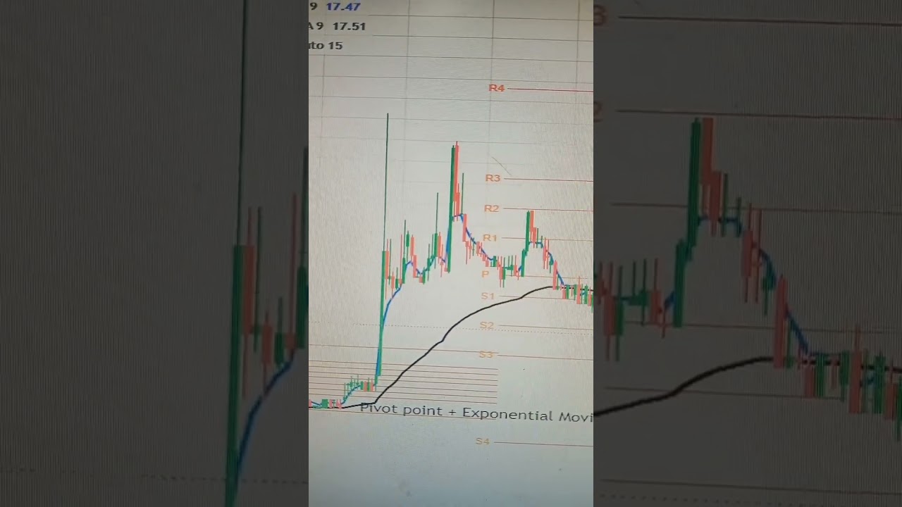 Exponential Moving Average (5,61) +Pivot Point (Camarilla) Best profitable strategy