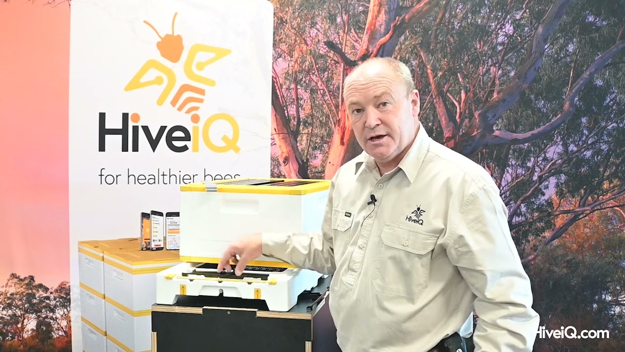 A simpler nucleus hive&hellip;