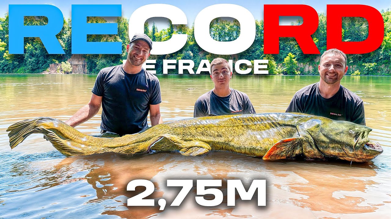 PÊCHE d’un MONSTRE qui devient le RECORD de France !