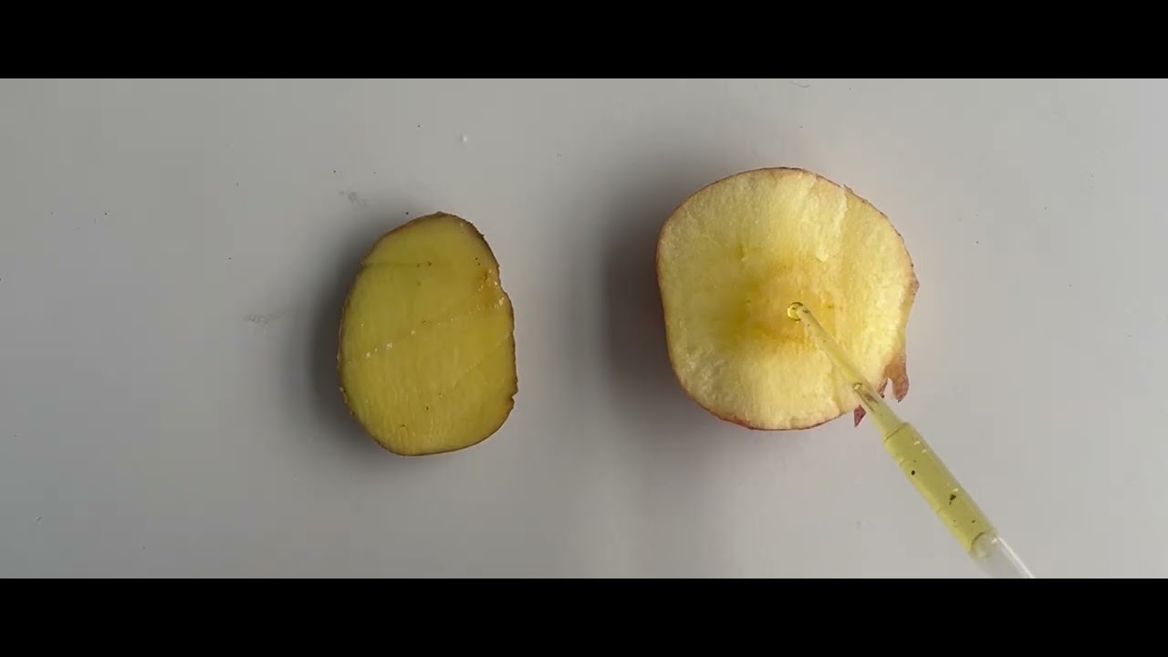 Stärkenachweis
