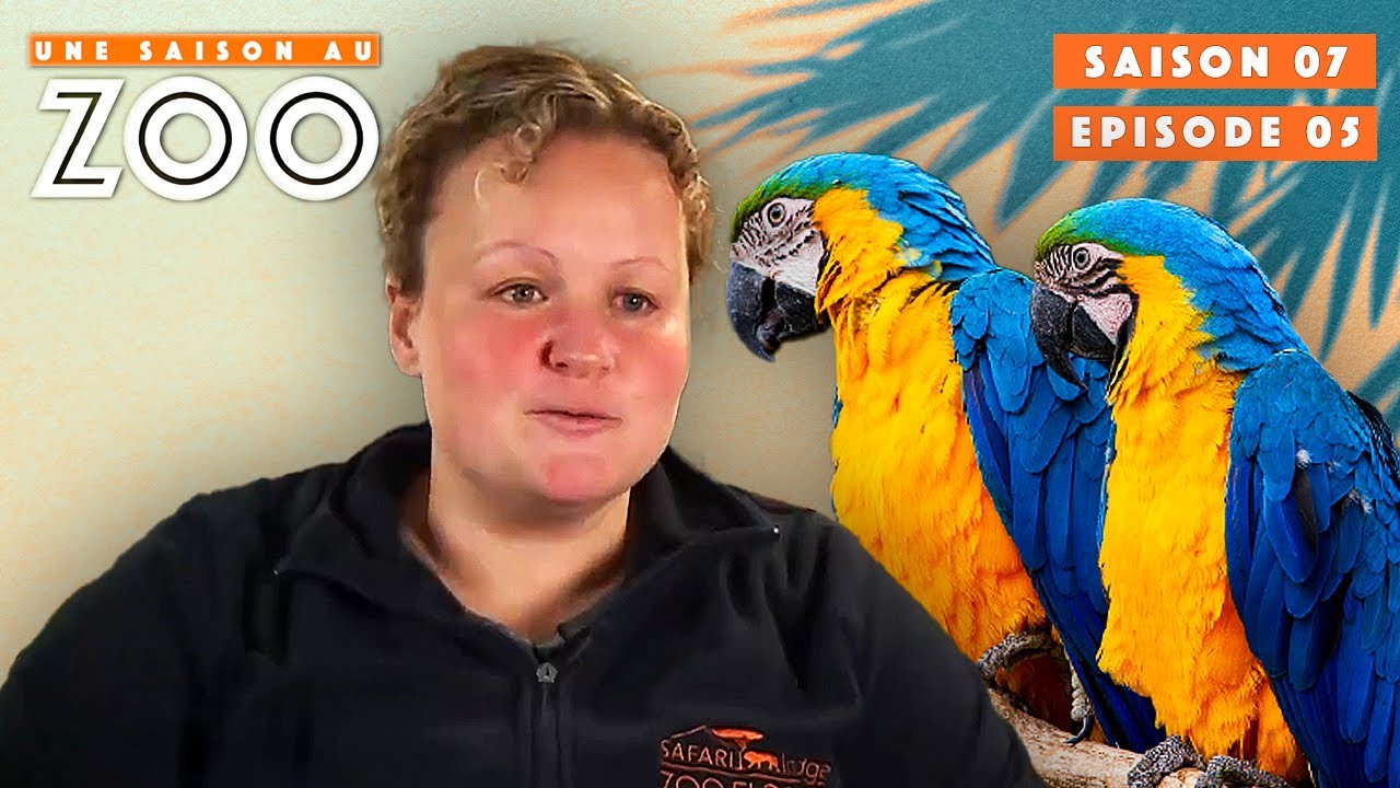 Prise de Sang pour Cajou le Perroquet ! | S07EP05 | Émission Intégrale | Une Saison Au Zoo