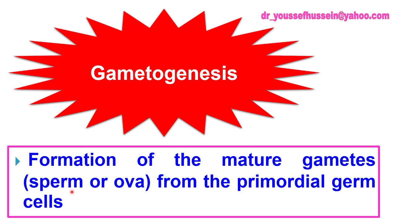1- Introduction of Gametogenesis