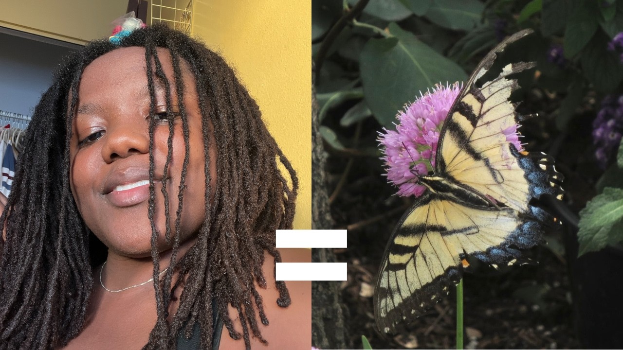 how my winter arc is going