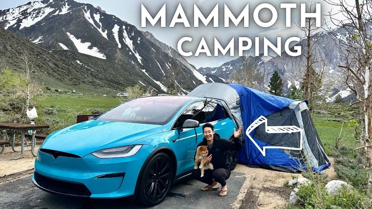 КЕМПИНГ в Tesla Model X (обогреватель работал всю ночь... что случилось?)