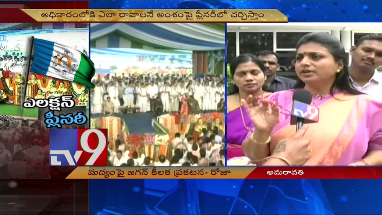 2019 elections the main agenda of YCP Plenary - Roja - TV9