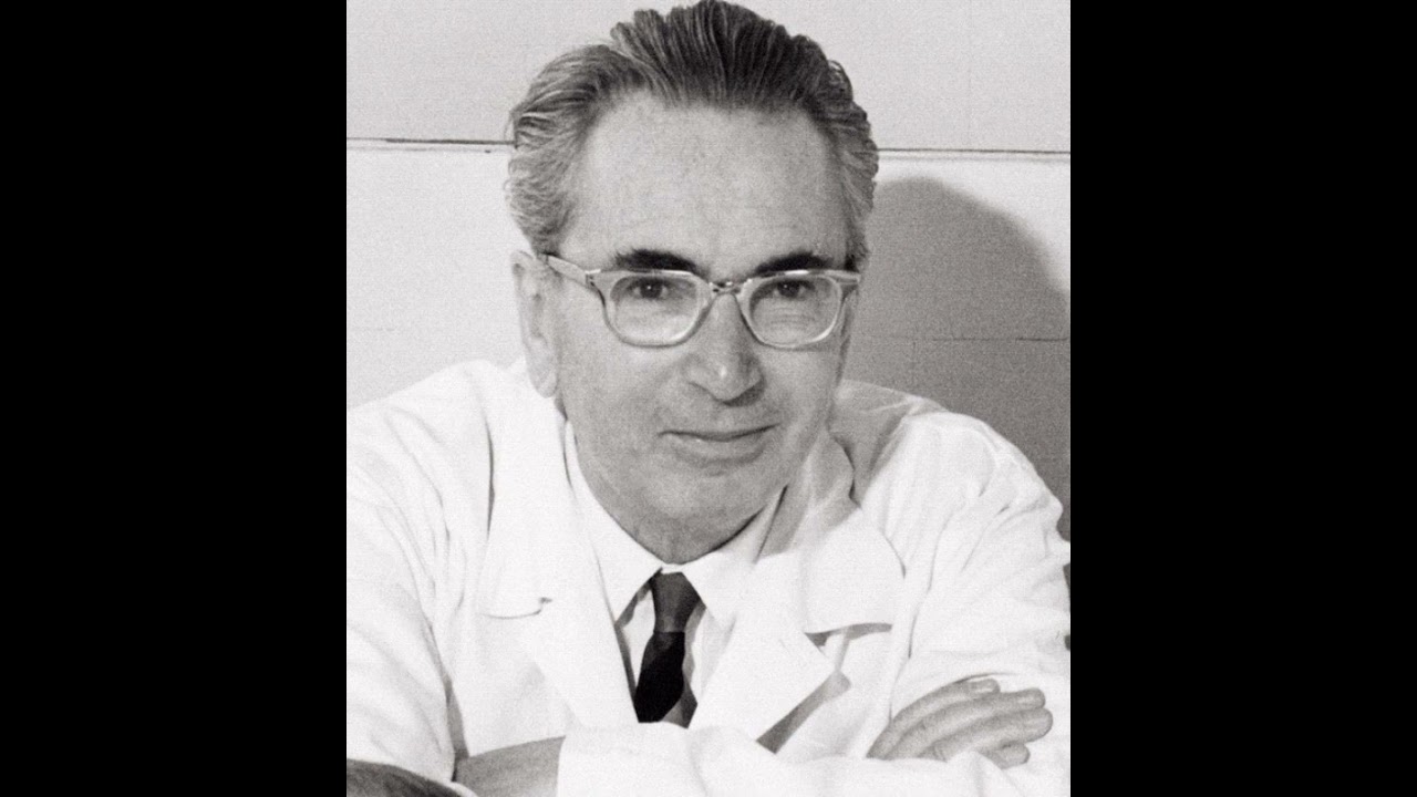 Viktor Frankl - Hiper-reflex&atilde;o, inconsciente e cria&ccedil;&atilde;o art&iacute;stica (livro:A presen&ccedil;a ignorada de Deus)