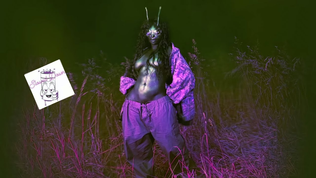 SZA - 30 For 30 feat. Kendrick Lamar ( Slowed Down )