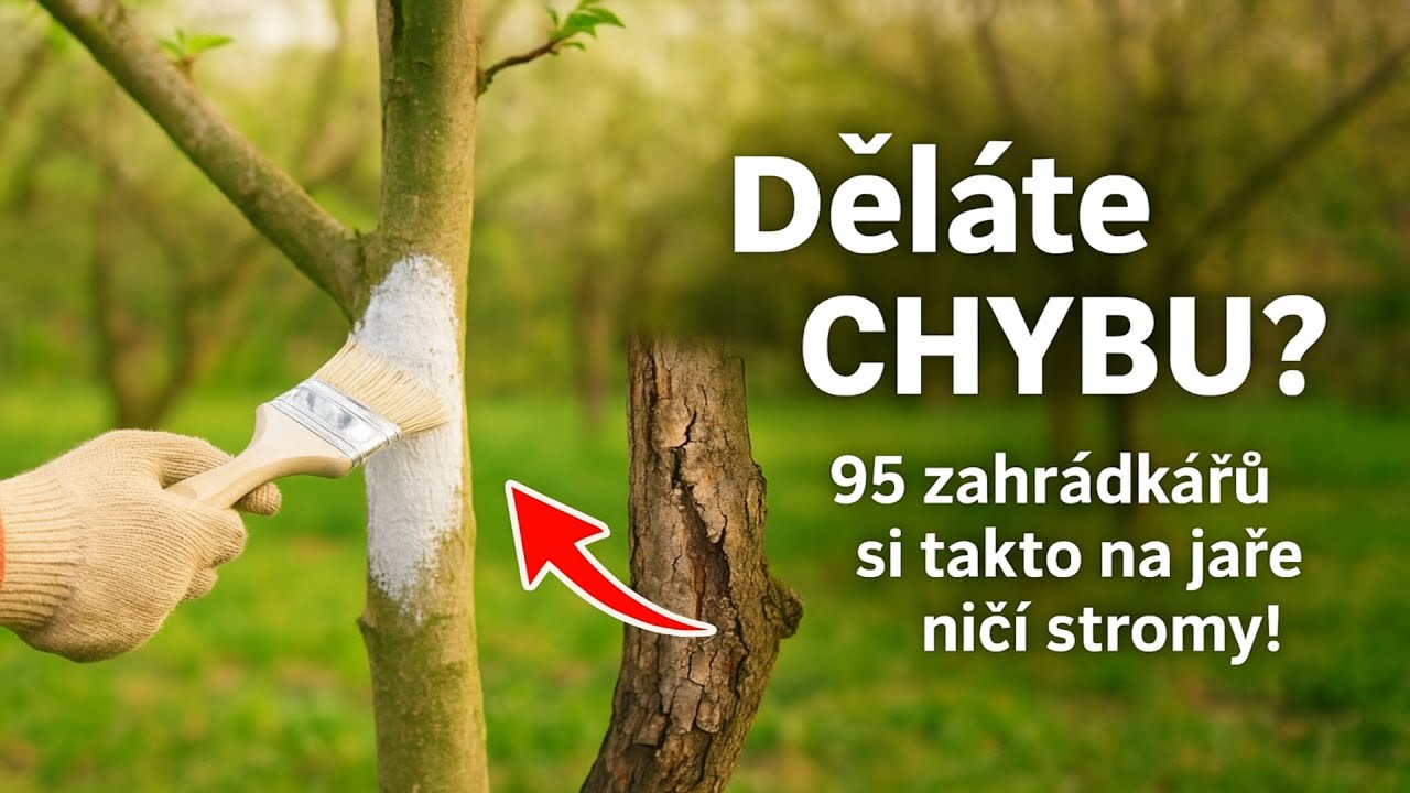Děl&aacute;te při jarn&iacute;m n&aacute;těru stromů TUTO CHYBU? 95 % zahr&aacute;dk&aacute;řů si takto na jaře nič&iacute; stromy.