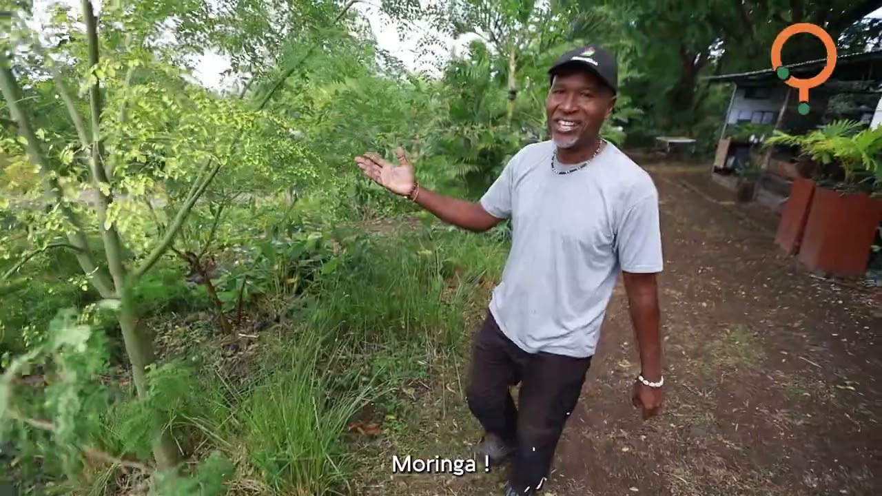 An Grèn Koulèr : Porte Pays Mafate