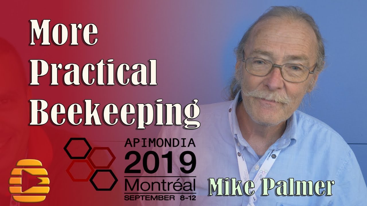 Sustainable apiary queen rearing beekeeper Mike Palmer - Apimondia 2019
